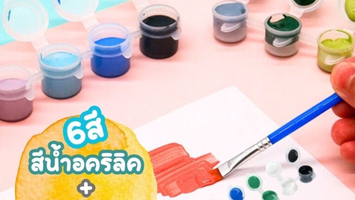 สีน้ำอะคริลิค 6สี และ พู่กัน สุดคุ้ม สีอคริลิค S0006 ปลอดภัยต่อเด็ก