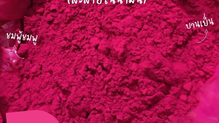 สีชมพูบานเย็น สีละลายในน้ำมัน ขนาด 500 กรัม Color Powder แบบผง