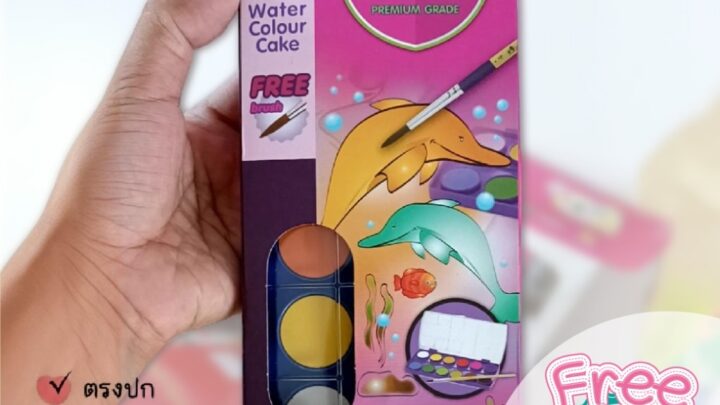 สีน้ำก้อน สีน้ำหลุม ตลับ 12 สี Master Art