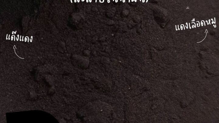 สีดำ สีละลายในน้ำมัน ขนาด 500 กรัม Color Powder แบบผง